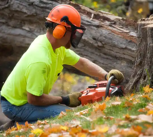 tree services Willernie